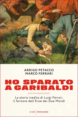 Ho sparato a Garibaldi