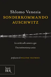 Sonderkommando Auschwitz_cover