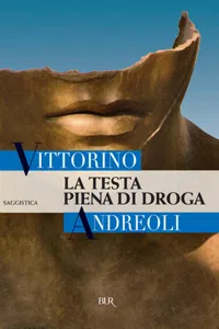 La testa piena di droga_cover