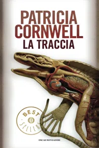 La traccia_cover