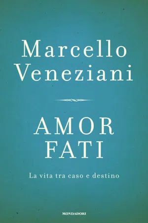 Amor fati