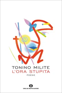 L'ora stupita_cover