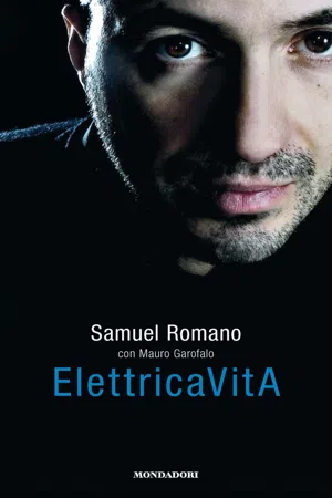 Elettricavita