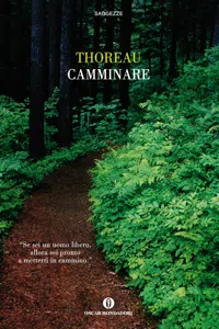 Camminare_cover