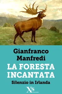 La foresta incantata - Silenzio in Irlanda_cover