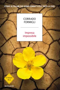 Impresa impossibile_cover