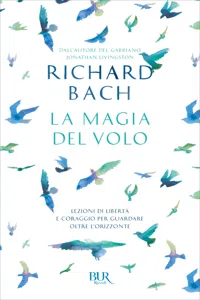 La magia del volo_cover