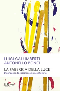 La fabbrica della luce_cover