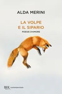 La volpe e il sipario_cover