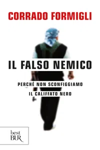 Il falso nemico_cover