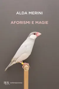 Aforismi e magie_cover