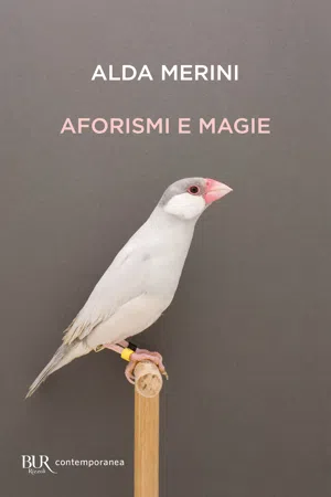 Aforismi e magie