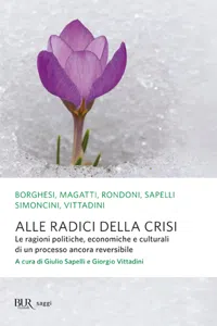 Alle radici della crisi_cover