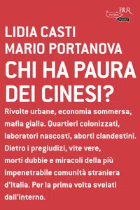 Chi ha paura dei cinesi?_cover