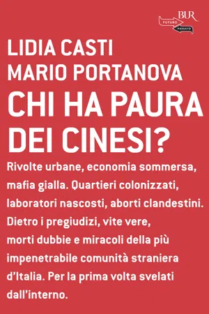 Chi ha paura dei cinesi?