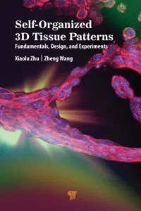 Self-Organized 3D Tissue Patterns_cover