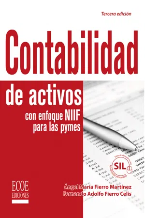 Contabilidad de activos con enfoque NIIF para las pyme