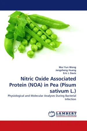 Nitric Oxide Associated Protein (NOA) in Pea (Pisum sativum L.)