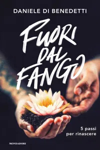 Fuori dal fango_cover