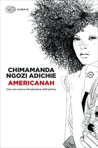 Americanah_cover