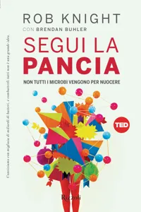 Segui la pancia_cover