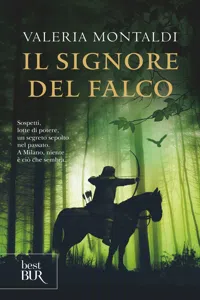 Il signore del falco_cover