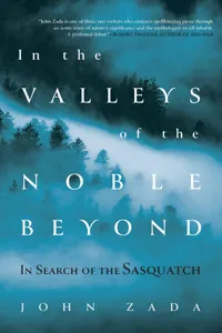 In the Valleys of the Noble Beyond_cover