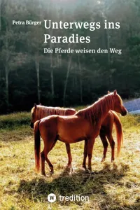 Unterwegs ins Paradies_cover