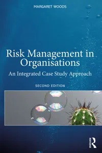 Risk Management in Organisations_cover