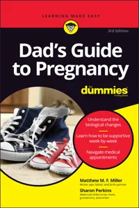Dad's Guide to Pregnancy For Dummies_cover