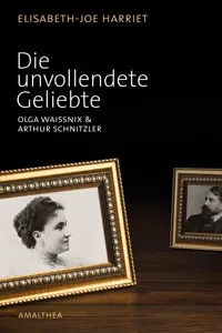 Die unvollendete Geliebte_cover