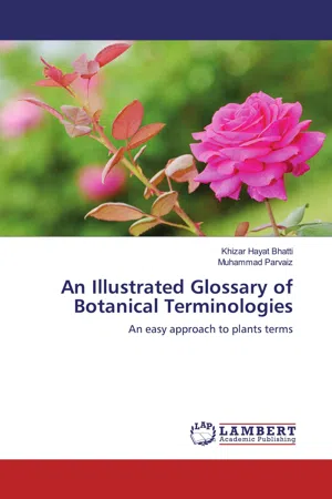 An Illustrated Glossary of Botanical Terminologies