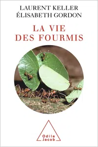 La Vie des fourmis_cover