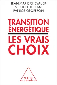 Transition énergétique : les vrais choix_cover