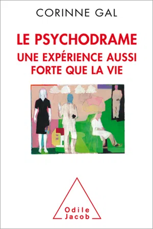 Le  Psychodrame, une expérience aussi forte que la vie