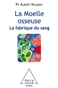 La Moelle osseuse_cover