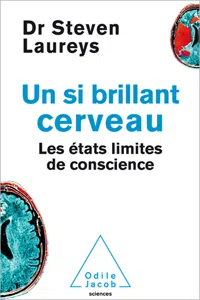 Un si brillant cerveau_cover