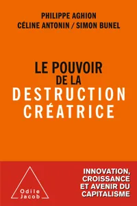 Le Pouvoir de la destruction créatrice_cover