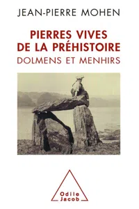 Pierres vives de la préhistoire_cover