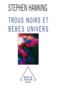 Trous noirs et Bébés univers_cover