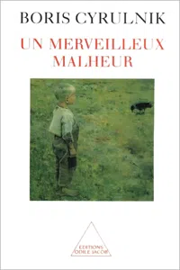 Un merveilleux malheur_cover