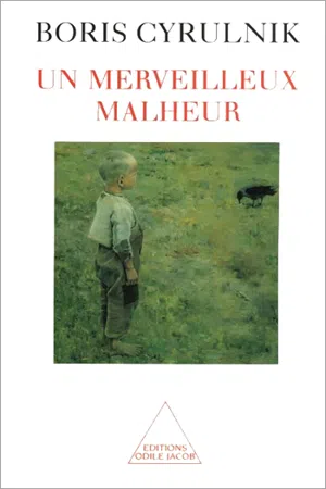 Un merveilleux malheur