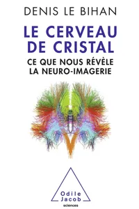 Le Cerveau de cristal_cover