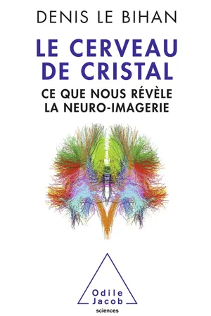 Le Cerveau de cristal