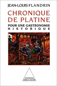 Chronique de Platine_cover