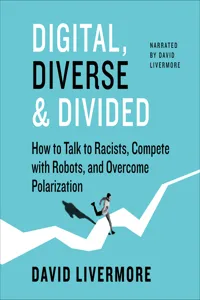 Digital, Diverse & Divided_cover