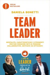 Team leader_cover