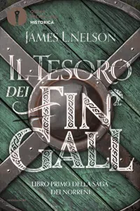 Il tesoro dei fin gall_cover