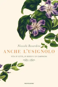 Anche l'usignolo_cover