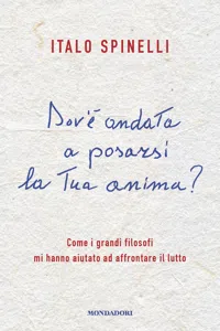 Dov'è andata a posarsi la tua anima?_cover